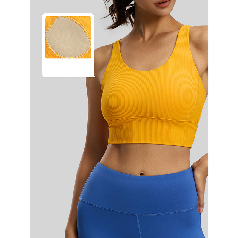 2026 New Women Ribbed High Imp - Sports Bra High Impact review and price