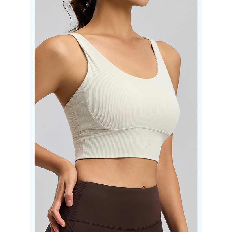 2026 New Women Ribbed High Imp - Sports Bra High Impact review and price